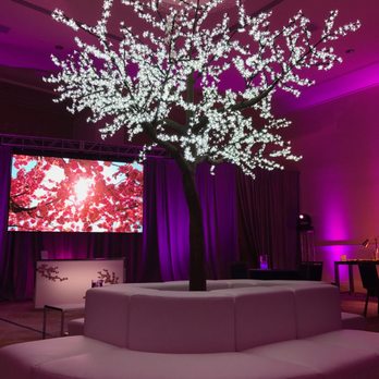 Sublime Event Designs - Lighted Chery Tree Rental, Lounge Furniture, Lighted Bar, Uplighting - Party & Event Planning Near Me - Orlando, Florida Sublime Event Designs - Lighted Chery Tree Rental, Lounge Furniture, Lighted Bar, Uplighting - Party & Event Planning Near Me - Orlando, Florida