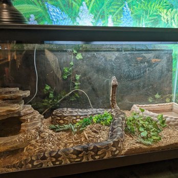 Idaho Reptile Zoo - Zoos Near Me - Boise, Idaho Idaho Reptile Zoo - Zoos Near Me - Boise, Idaho