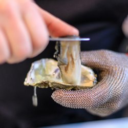 Sylt Seafood - Sylt Seafood | Seafoodbar | Rotterdam