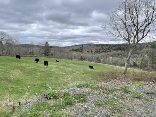 Sugarbush Farm by null