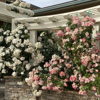 Natomas Rose Garden - Parks Near Me - Sacramento, California Natomas Rose Garden - Parks Near Me - Sacramento, California