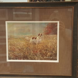 The Great Frame Up - Photograph doesn't do the finished product justice. Absolutely incredible colors in the frame and matting