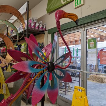 CHS Northwest - Birdy things for people - Nurseries & Gardening Near Me - Lynden, Washington
