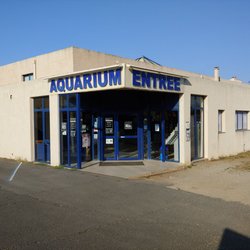 L'Aquarium du Cap d'Agde - Going to look at  fish today