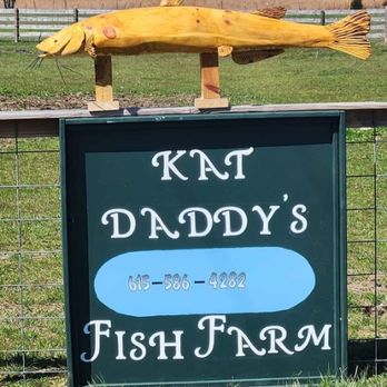 Kat Daddy's Fish Farm - Fishing Near Me - Bell Buckle, Tennessee Kat Daddy's Fish Farm - Fishing Near Me - Bell Buckle, Tennessee