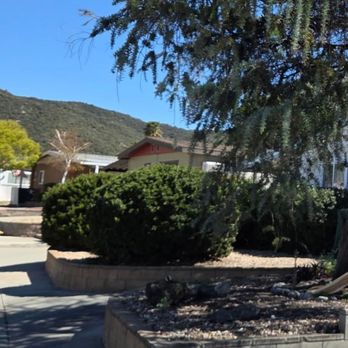 HLI Tree Experts - Bushes removed - Tree Services Near Me