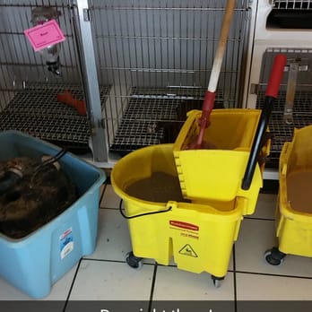 The Pet Zone - There is a dog behind the dirty buckets! The manager jobeth refused to move them stating the dog was fine. - Pet Stores Near Me - Albany, New York