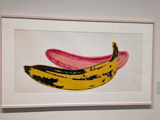 Asheville Art Museum by null