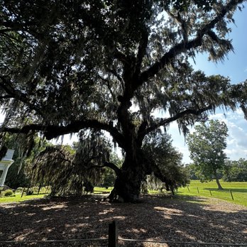 McLeod Plantation Historic Site - Landmarks & Historical Buildings Near Me - Charleston, South Carolina McLeod Plantation Historic Site - Landmarks & Historical Buildings Near Me - Charleston, South Carolina