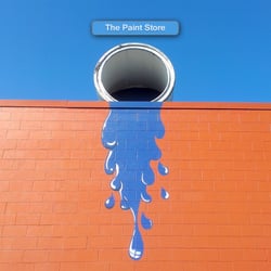 The Paint Store