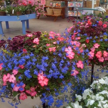 Tagawa Gardens - Nurseries & Gardening Near Me - Centennial, Colorado Tagawa Gardens - Nurseries & Gardening Near Me - Centennial, Colorado