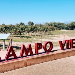 Bodegas Campo Viejo - Back patio view of the vineyard