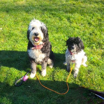 North Shorewood Park - Tippy & Mango - Parks Near Me - Seattle, Washington North Shorewood Park - Tippy & Mango - Parks Near Me - Seattle, Washington