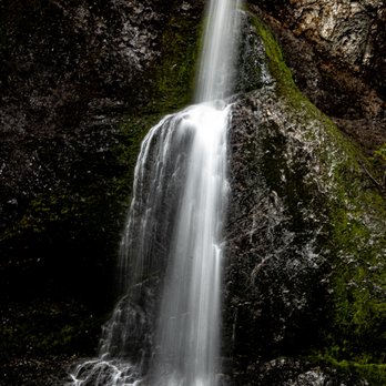 Marymere Falls - Marymere Falls Trail - Olympic National Park - Hiking Near Me - Port Angeles, Washington