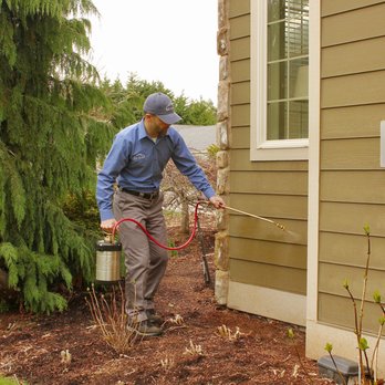 Rainier Pest Control - Pest Control Near Me - Gig Harbor, Washington
