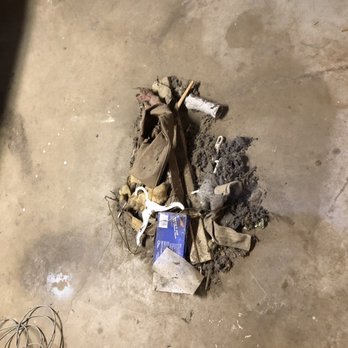 ReliaTrust Elite Cleaning Services - Debris I swept up from laundry/furnace room after cleaning. (Yes, it's gross, the home was in really bad shape at move in.) - Home Cleaning Near Me ReliaTrust Elite Cleaning Services - Debris I swept up from laundry/furnace room after cleaning. (Yes, it's gross, the home was in really bad shape at move in.) - Home Cleaning Near Me