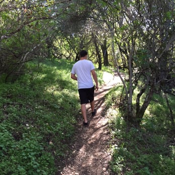 Tony Look Trail - Up the trail we go - Hiking Near Me - Cupertino, California