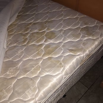 Hermitage Inn - Hotels Near Me - Hermitage, Tennessee Hermitage Inn - Hotels Near Me - Hermitage, Tennessee