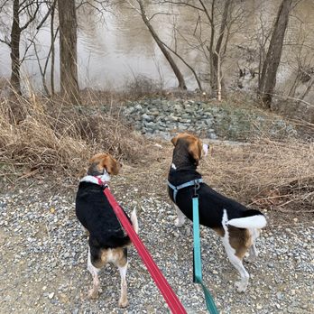 Billy Goat Trail - Section  A - My two pups love walking this path every day - Parks Near Me - Potomac, Maryland