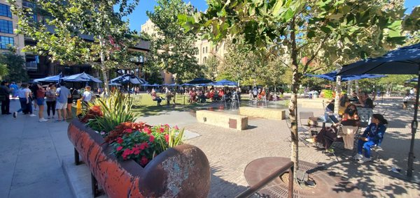 WonderSlice Pizza by null