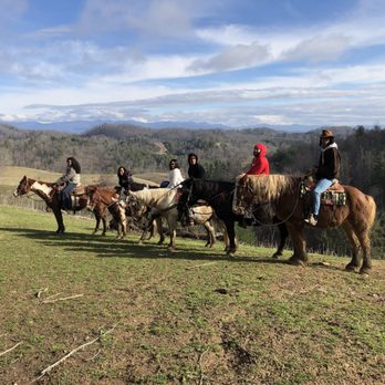 Smoky Mountain Trail Rides - Horseback Riding Near Me - Marshall, North Carolina