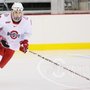 Photo of Ohio State Men's Hockey