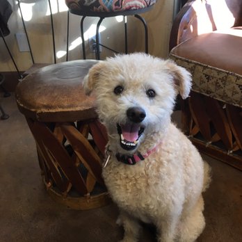 Salon Edera - Dog friendly - Hair Salons Near Me - Encinitas, California Salon Edera - Dog friendly - Hair Salons Near Me - Encinitas, California