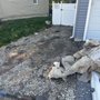 Photo of Brandts Tree service