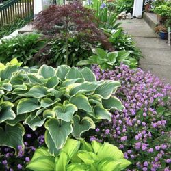 Graceland Gardens