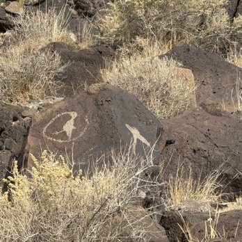 Rinconada Canyon Trail - Clearly the earliest Mockingjay pin, and a UFO. ;-) - Hiking Near Me - Albuquerque, New Mexico
