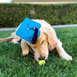 Graduation day Graduation day