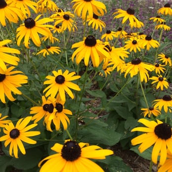 Cowles Commons - Parks Near Me - Des Moines, Iowa