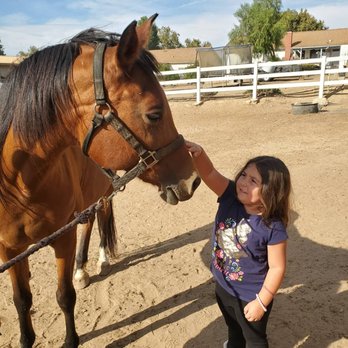 Neophyte Farms - Horseback Riding Near Me - Simi Valley, California Neophyte Farms - Horseback Riding Near Me - Simi Valley, California