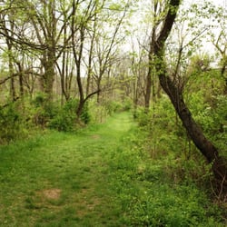 George Lorimer Nature Preserve - Wide trails through dense undergrowth.