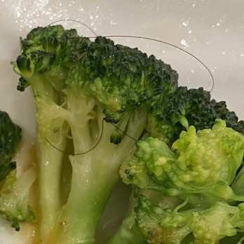 Seafood Palace - Curly hair entangled in my broccoli - Dim Sum Near Me - Richmond Hill, Ontario Seafood Palace - Curly hair entangled in my broccoli - Dim Sum Near Me - Richmond Hill, Ontario