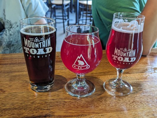 Mountain Toad Brewing by null