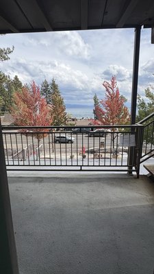 Pepper Tree Inn by null