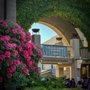 Photo of Haas School of Business - UC Berkeley
