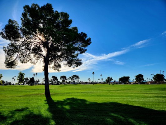 Sun City Country Club by null