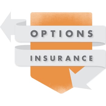 Options Insurance - Home & Rental Insurance Near Me - Minneapolis, Minnesota Options Insurance - Home & Rental Insurance Near Me - Minneapolis, Minnesota