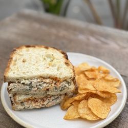 The Barista Botanist - Wild Tuna