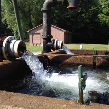 Buford Trout Hatchery - Fishing Near Me - Cumming, Georgia