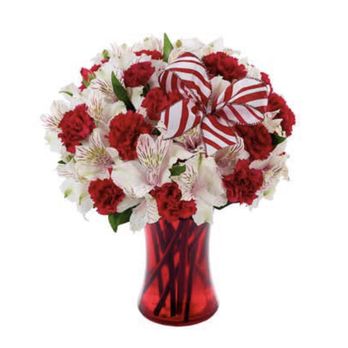Bloom Bar & - Deluxe Peppermint bouquet - Florists Near Me - Colorado Springs, Colorado