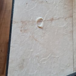 Rubber band, for a kids braces? On floor in front of sofa.