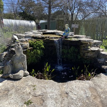 The Natural Gardener - guan yin statue and mr. fishing frog who look at the annual and perennial plants nearby - Nurseries & Gardening Near Me - Austin, Texas The Natural Gardener - guan yin statue and mr. fishing frog who look at the annual and perennial plants nearby - Nurseries & Gardening Near Me - Austin, Texas