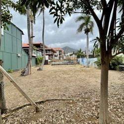 Beer Garden At Wailuku First Friday - 2022 - I really miss this place! - VN