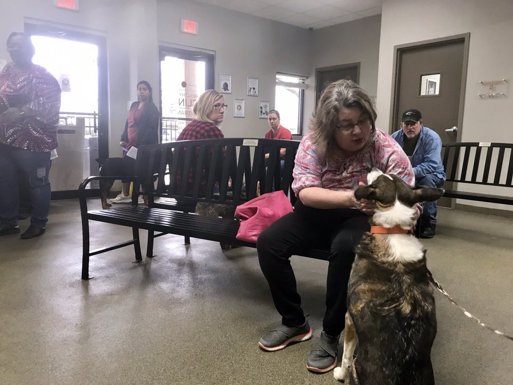 HUMANE SOCIETY OF NORTHEAST GEORGIA - 13 Reviews - Animal Shelters