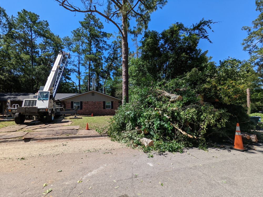 CRICKET’S TREE SERVICE Updated August 2024 23 Photos & 13 Reviews 6392 Fitz Ln