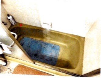 Slide of True Pride Property Preservation