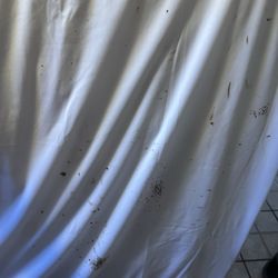 Wrangler Pest Control - Bed bugs.